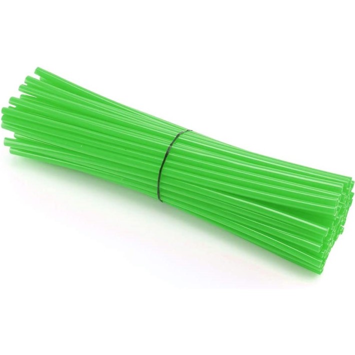 PALHINHAS DE RAIOS VERDE