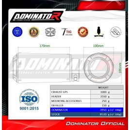 ESCAPE COMPLETO DOMINATOR CF MOTO 675 NK - CF019DC