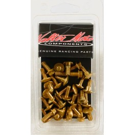 KIT BOLT FAIRING HONDA CBR 600 F / 600 FSPORT 2001 - 2006