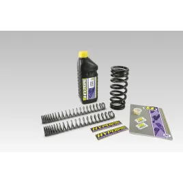 KIT REBAIXAMENTO HYPERPRO -25MM KAWASAKI KLE 650 VERSYS - SP-KA06-SSK040B