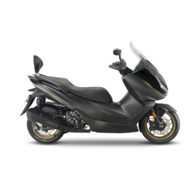 SHAD Suporte de encosto — ZONTES E350 — Z0E353RV