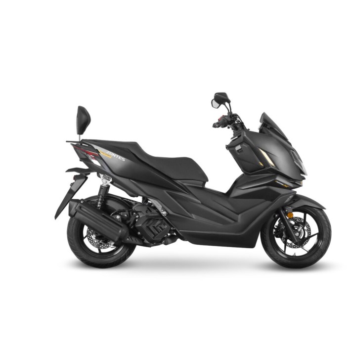 SHAD Suporte de encosto — ZONTES 125X — Z0X116RV